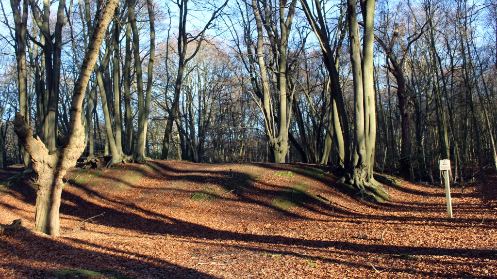 Ambresbury Banks, Epping Forest