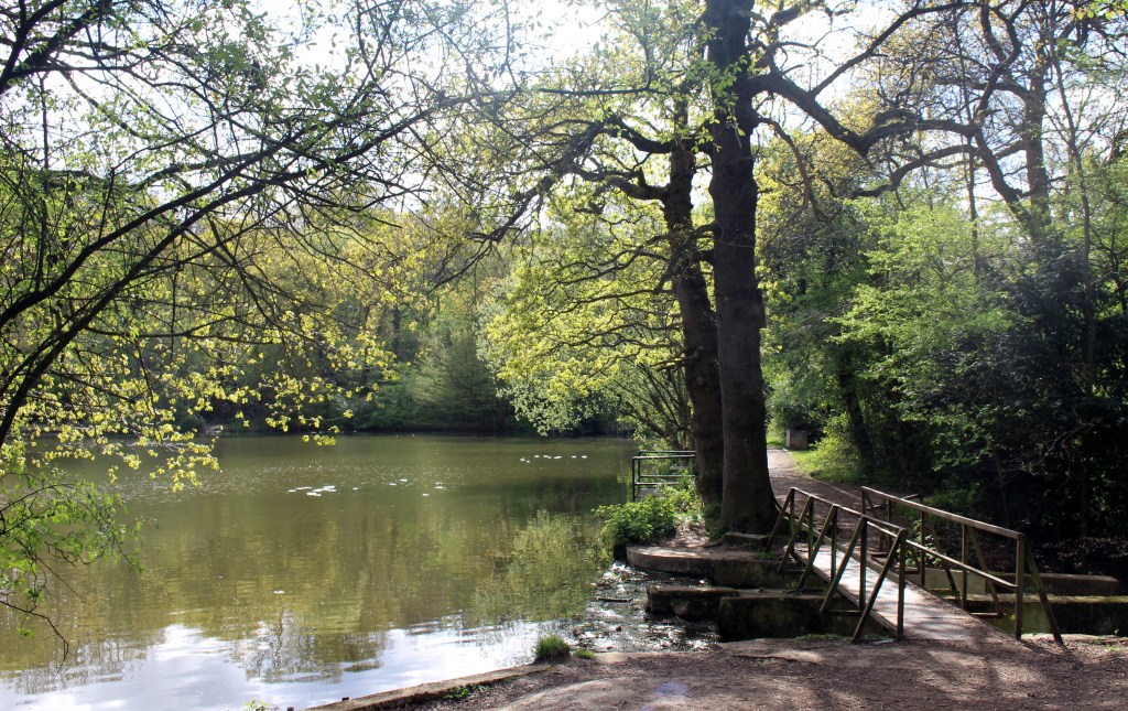The spillway from Jack's Lake, at the start of the Pymmes Brook Trail