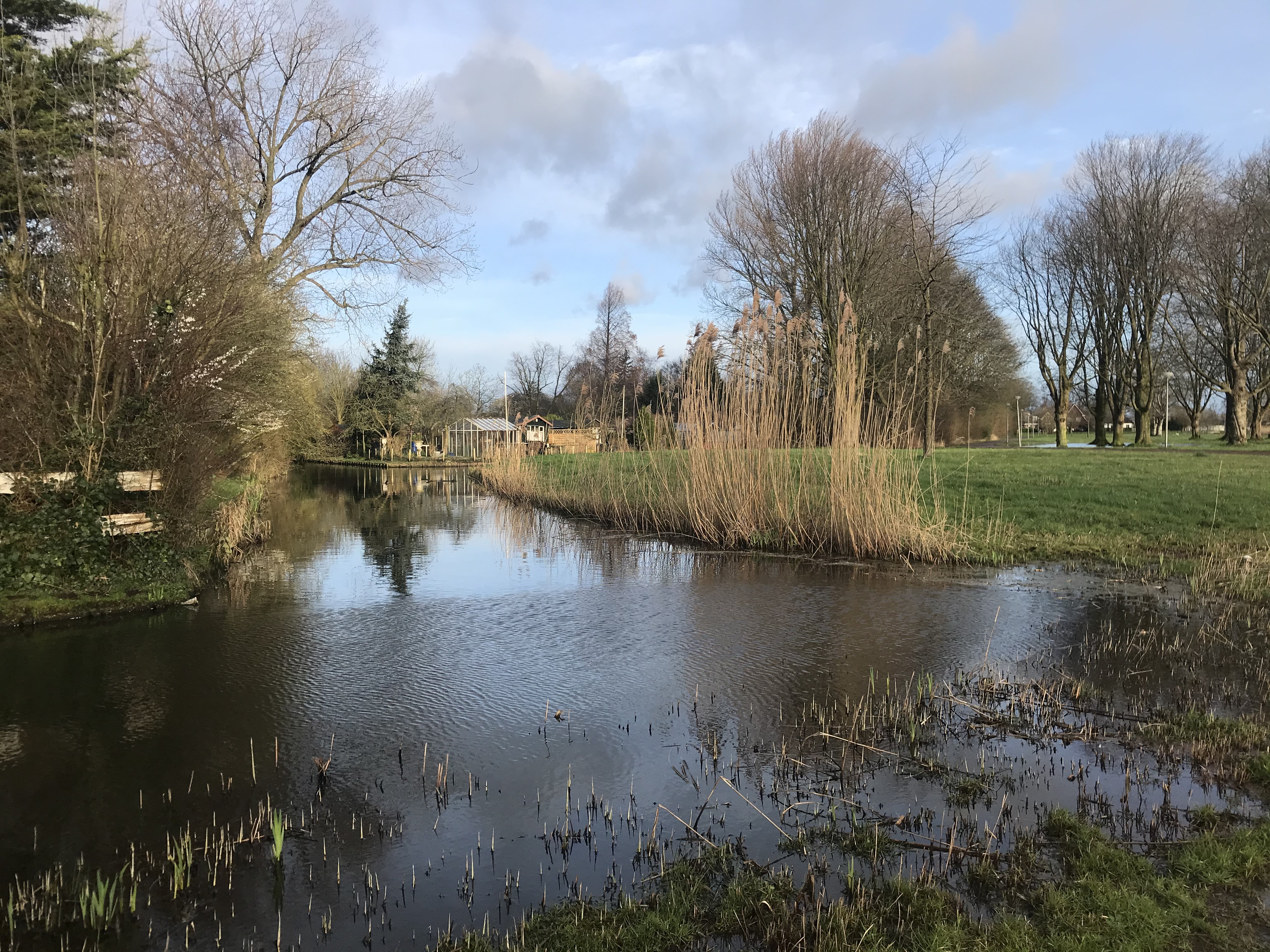 Rotterdam Rechter Maasoever