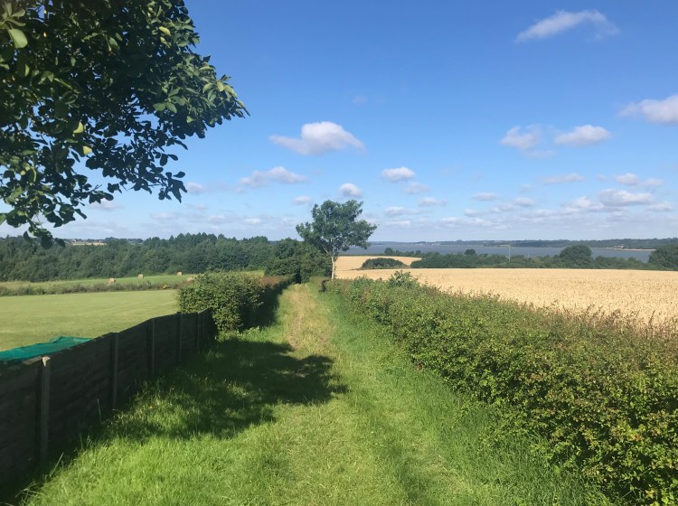 The Essex Way near Wrabness on a bright summer day